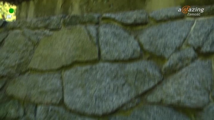 pomnik_do_poprawy.mp4