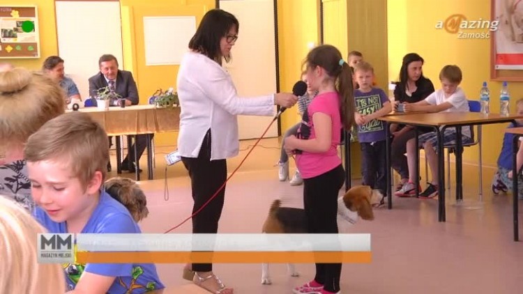 wystawa_zwierzatek_domowych.mp4