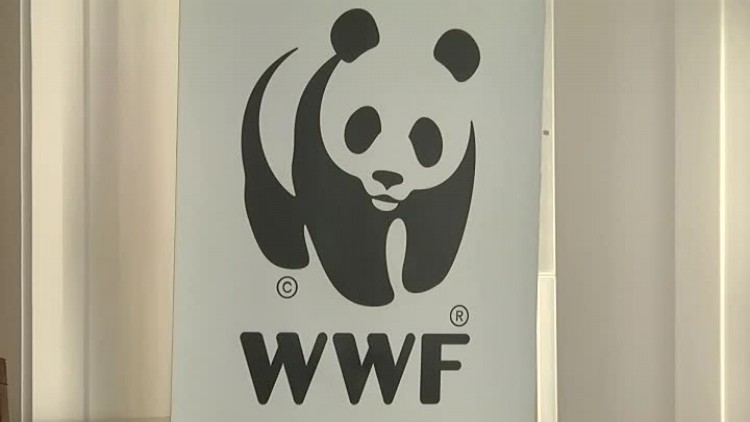 konferencja_wwf.mp4