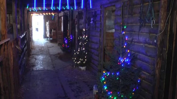 szopka_hospicjum.mp4