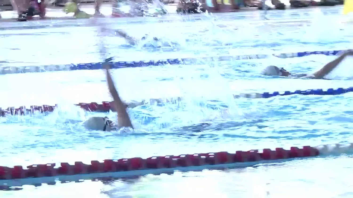 plywanie-4-style.mp4