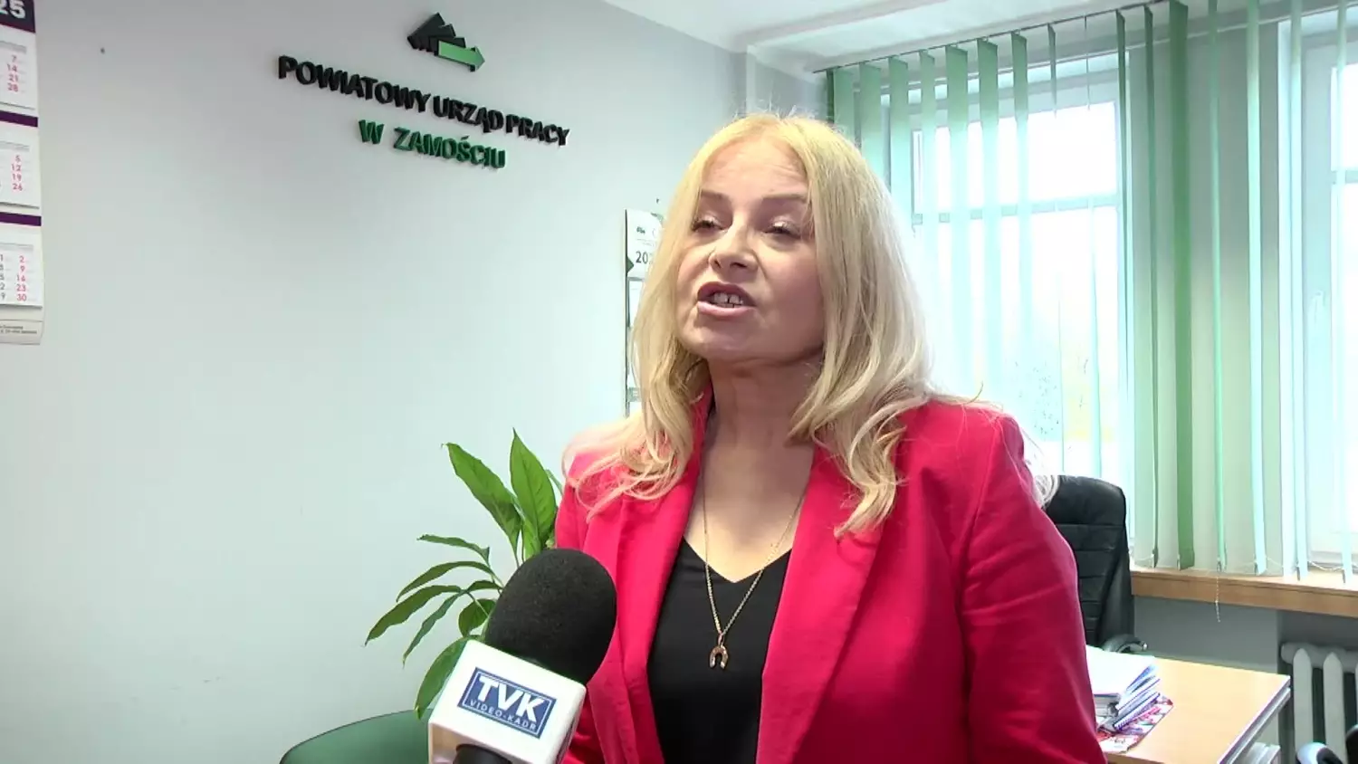 urzad-pracy-kfs-e592d0e.mp4